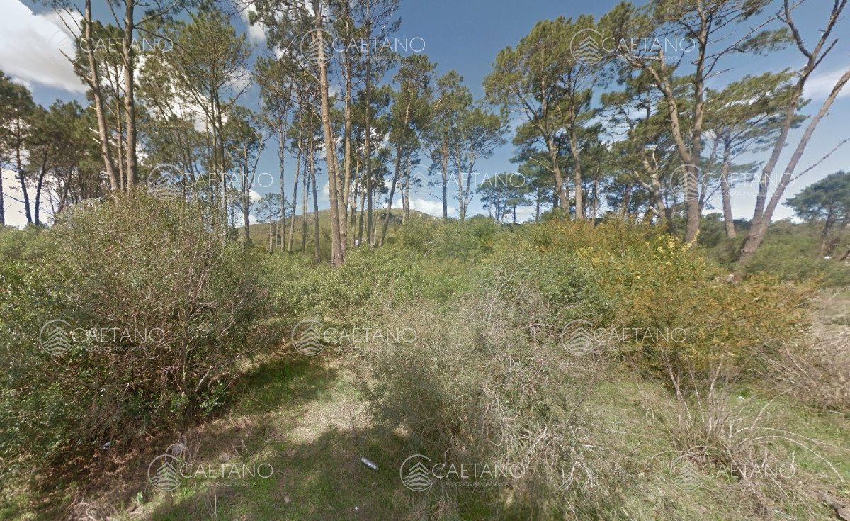 La Falda - GoPunta - Portal Inmobiliario de Punta del Este - Maldonado