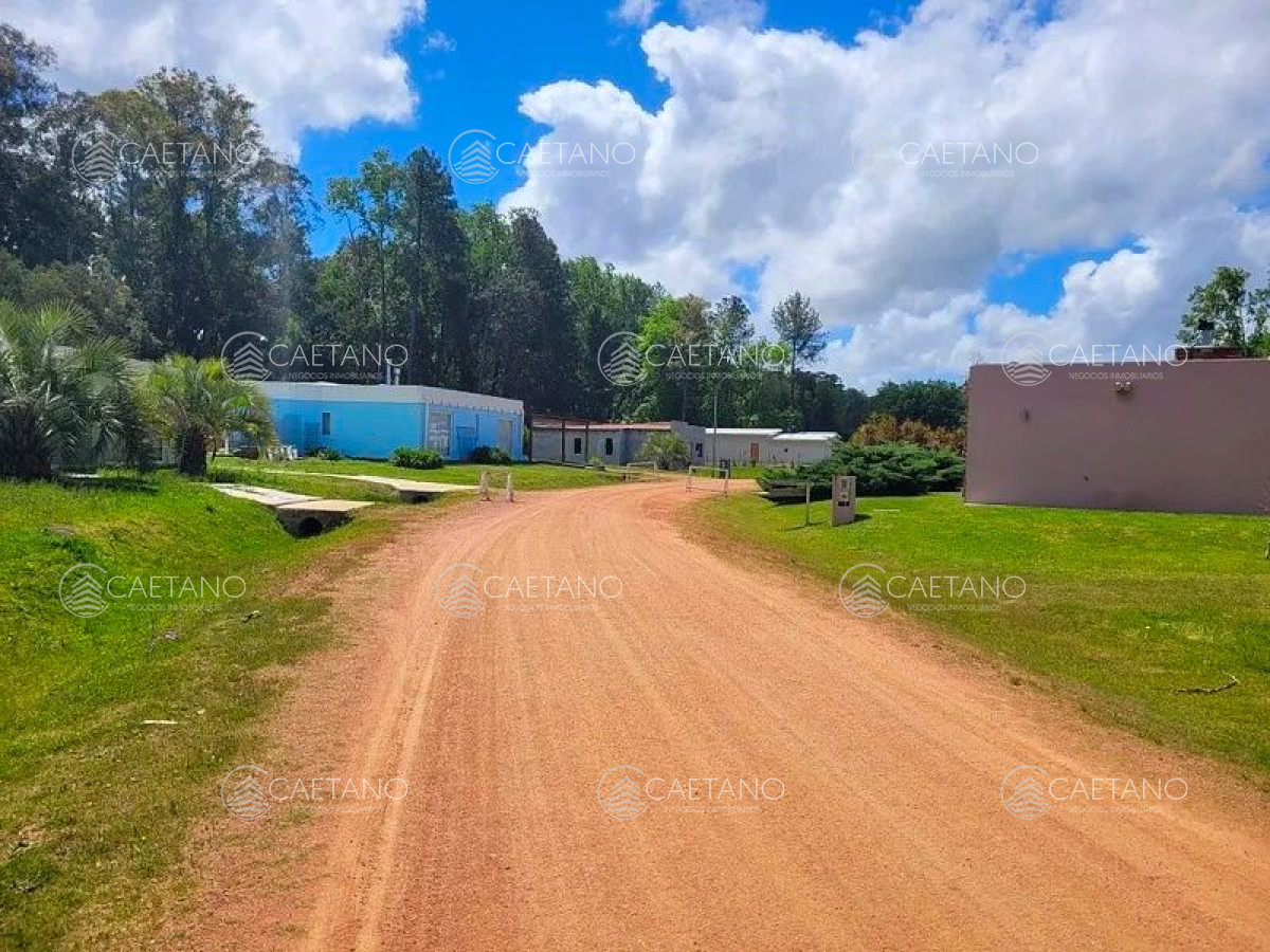 Camino Lussich - GoPunta - Portal Inmobiliario de Punta del Este - Maldonado