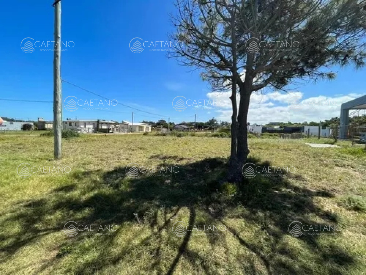 Punta Negra - GoPunta - Portal Inmobiliario de Punta del Este - Maldonado