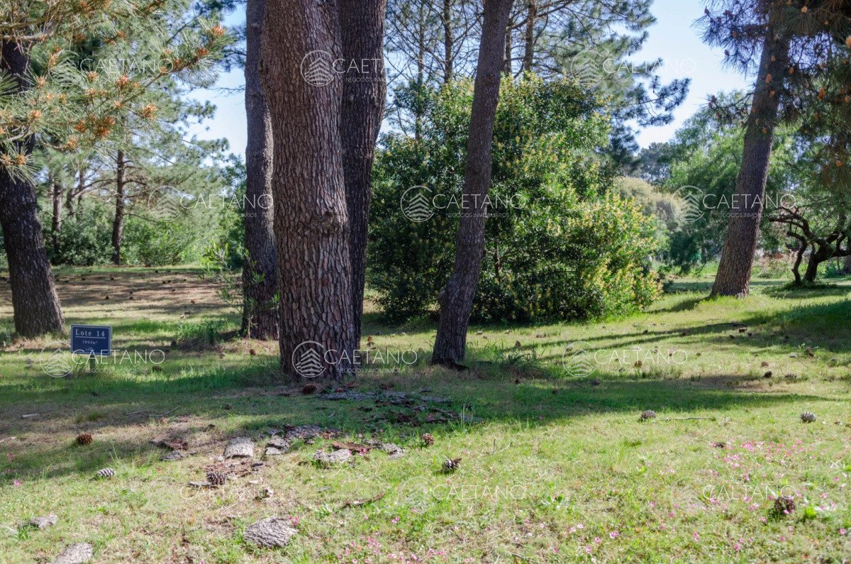 Venta lote en Veramansa, Playa Mansa  - DMC16308T