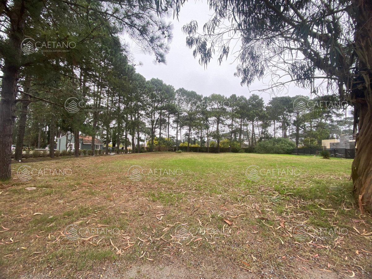 La Residence - GoPunta - Portal Inmobiliario de Punta del Este - Maldonado