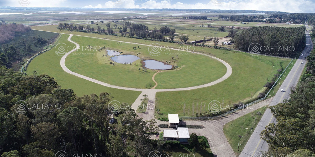 Venta terrenos zona torres Caracoles Ciudad Jardin  - DMC13508T