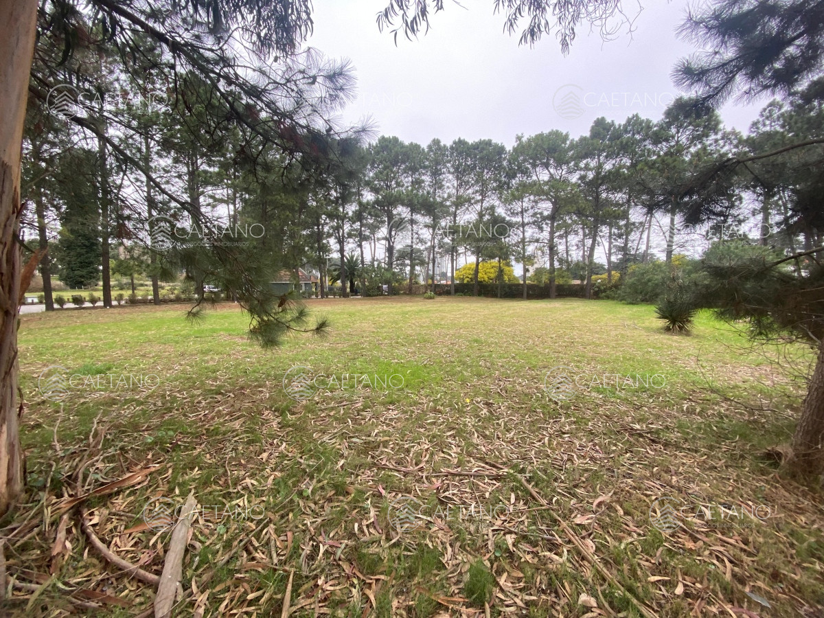 La Residence - GoPunta - Portal Inmobiliario de Punta del Este - Maldonado