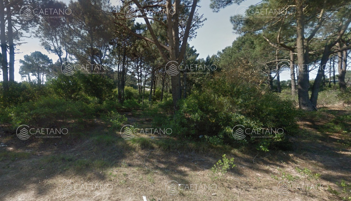 Venta terreno Chihuhuha 150 metros al mar 