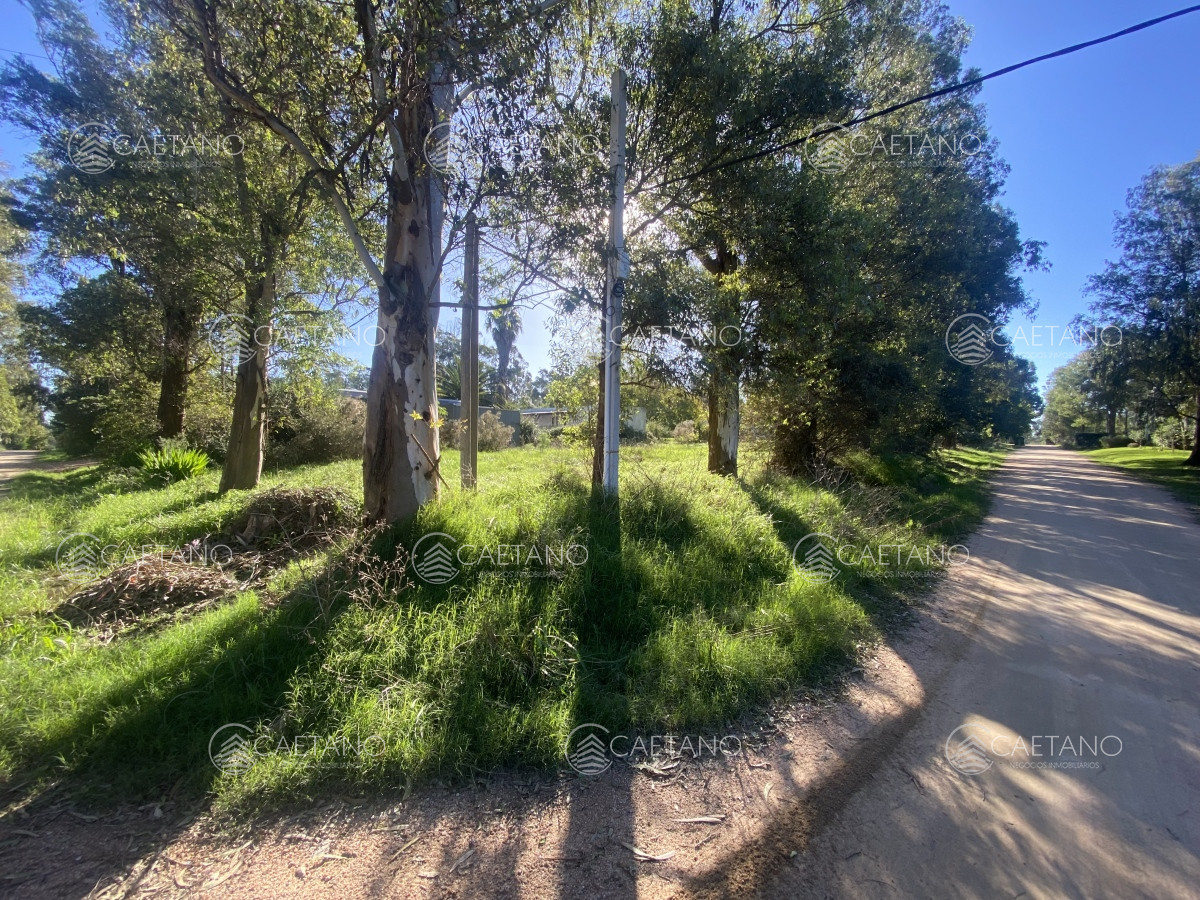 El Tesoro - GoPunta - Portal Inmobiliario de Punta del Este - Maldonado