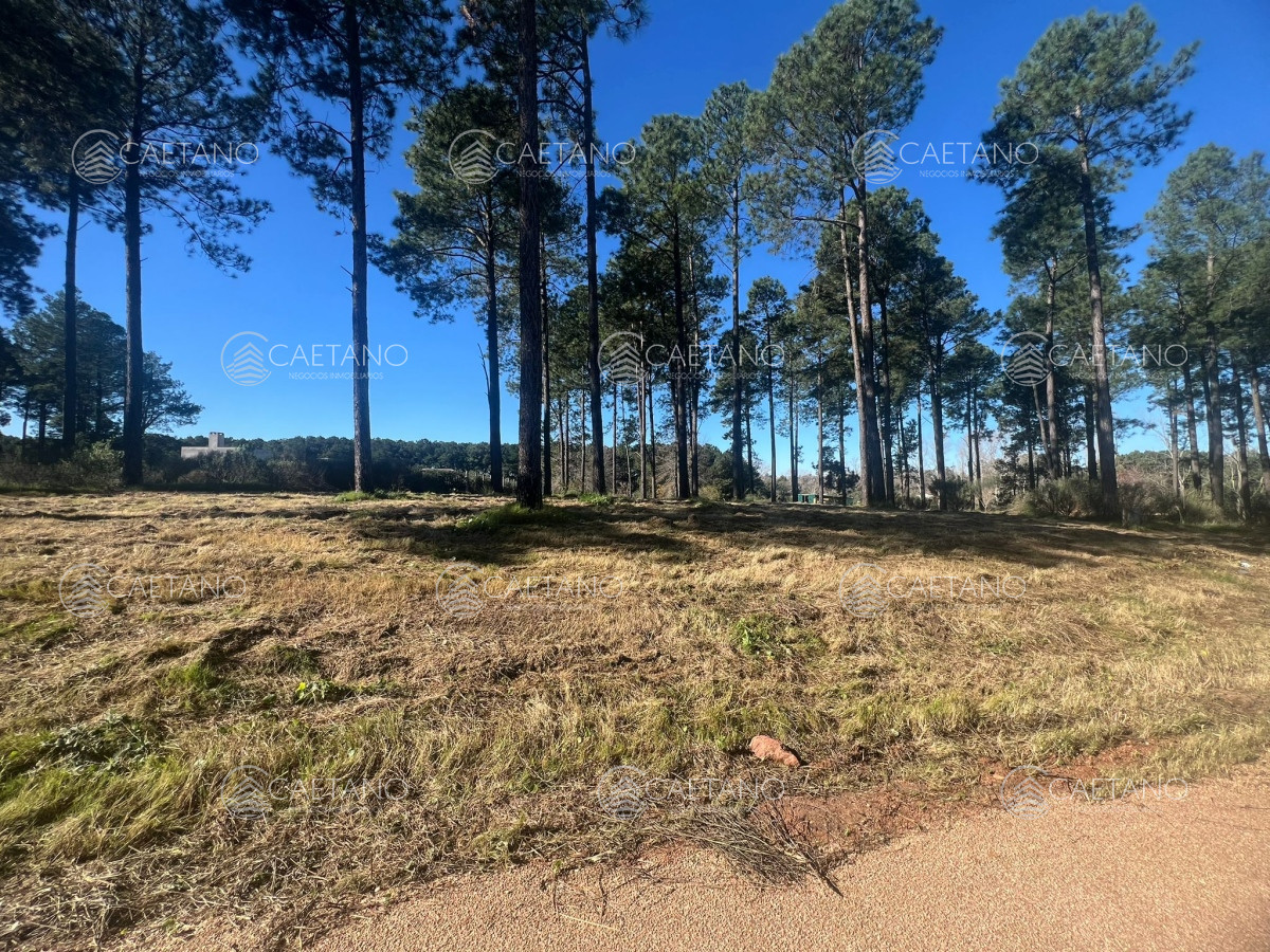 Propiedad - GoPunta - Portal Inmobiliario de Punta del Este - Maldonado