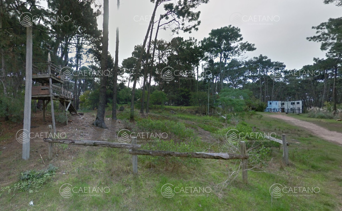 Montoya - GoPunta - Portal Inmobiliario de Punta del Este - Maldonado