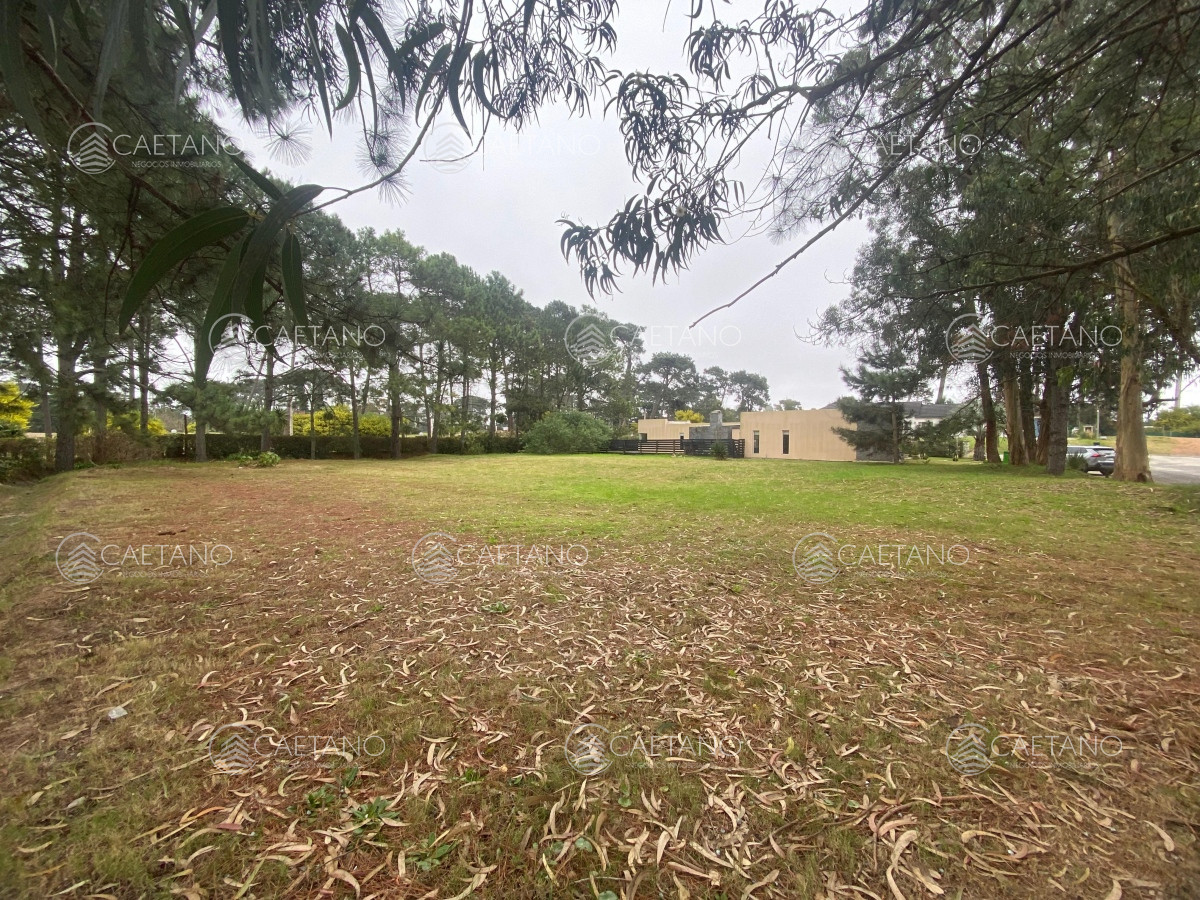 La Residence - GoPunta - Portal Inmobiliario de Punta del Este - Maldonado