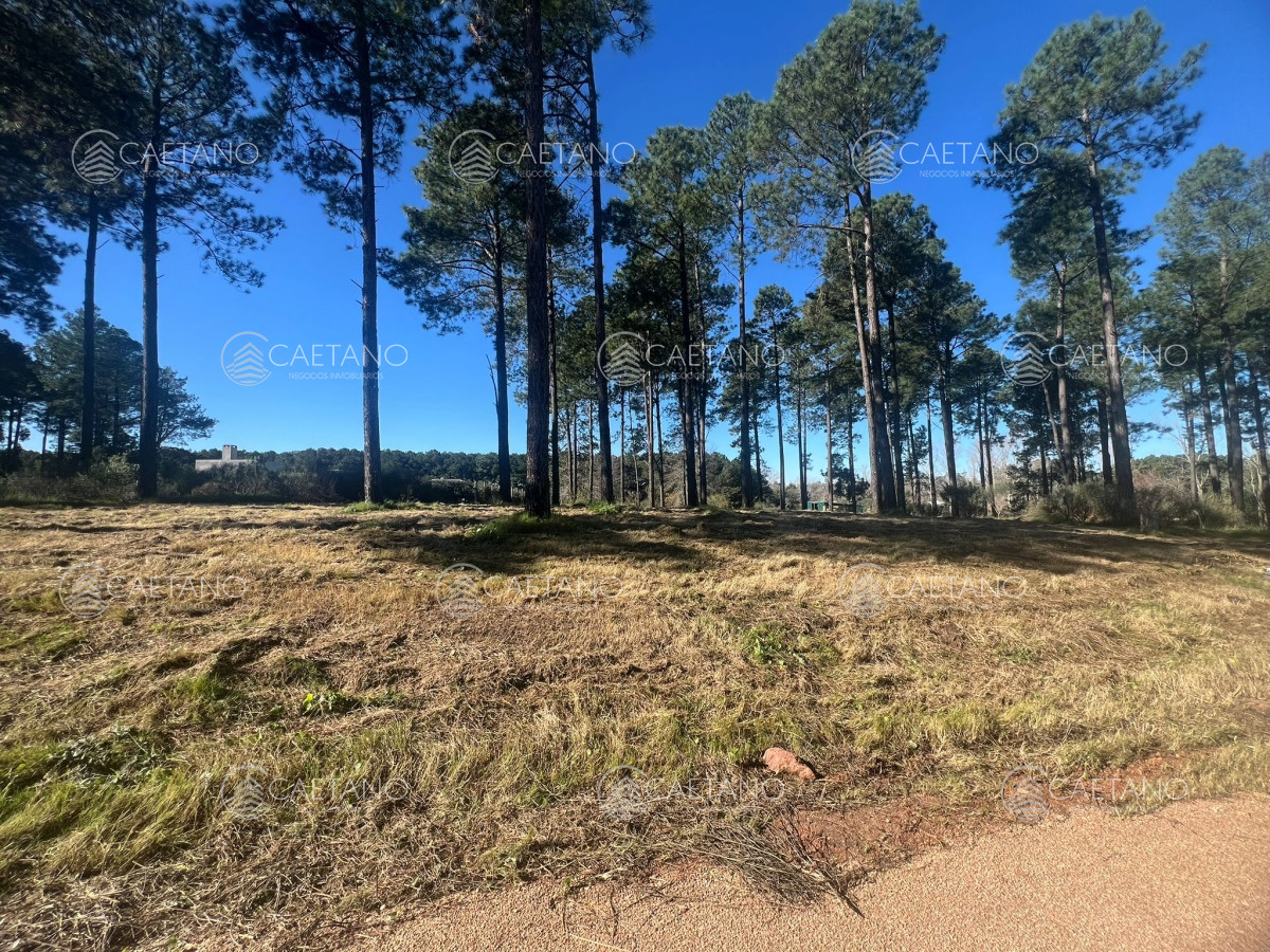 Propiedad - GoPunta - Portal Inmobiliario de Punta del Este - Maldonado
