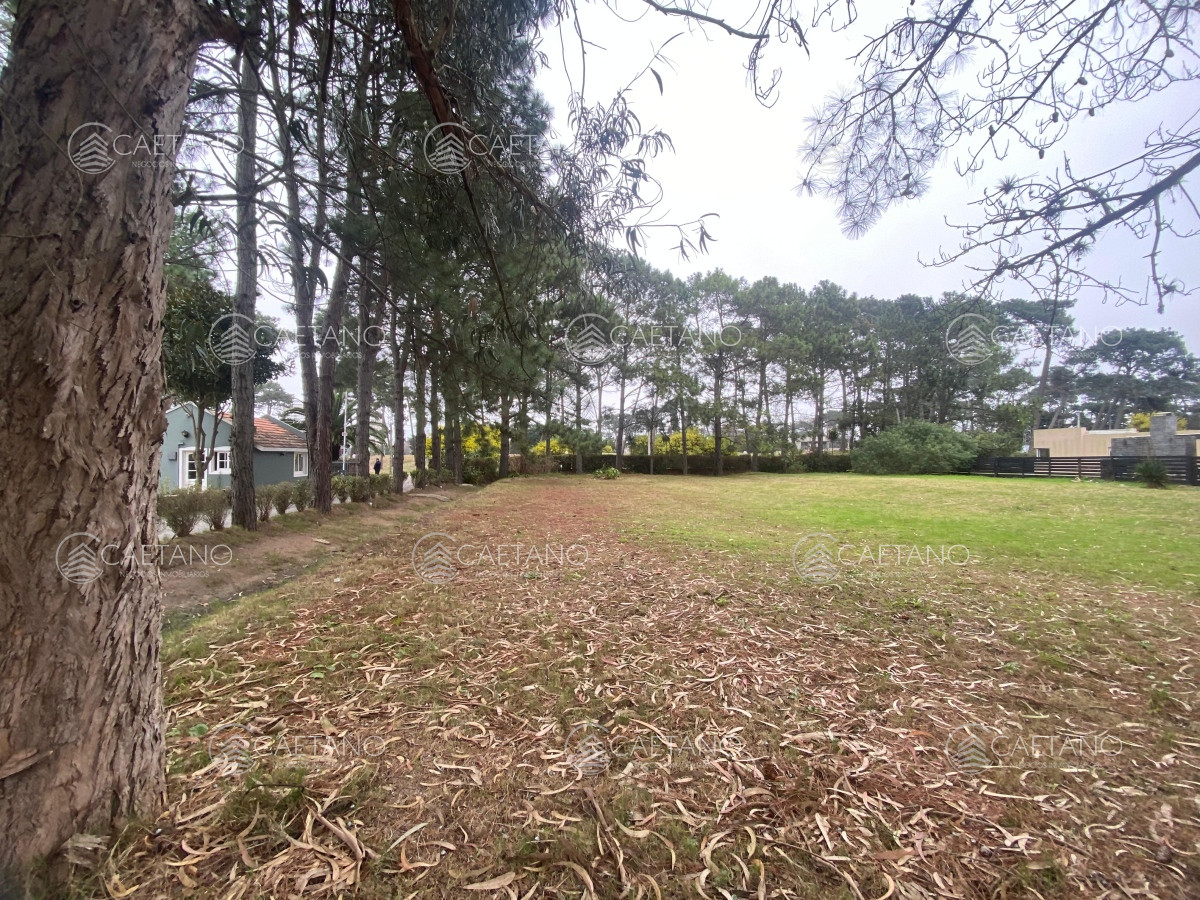 La Residence - GoPunta - Portal Inmobiliario de Punta del Este - Maldonado