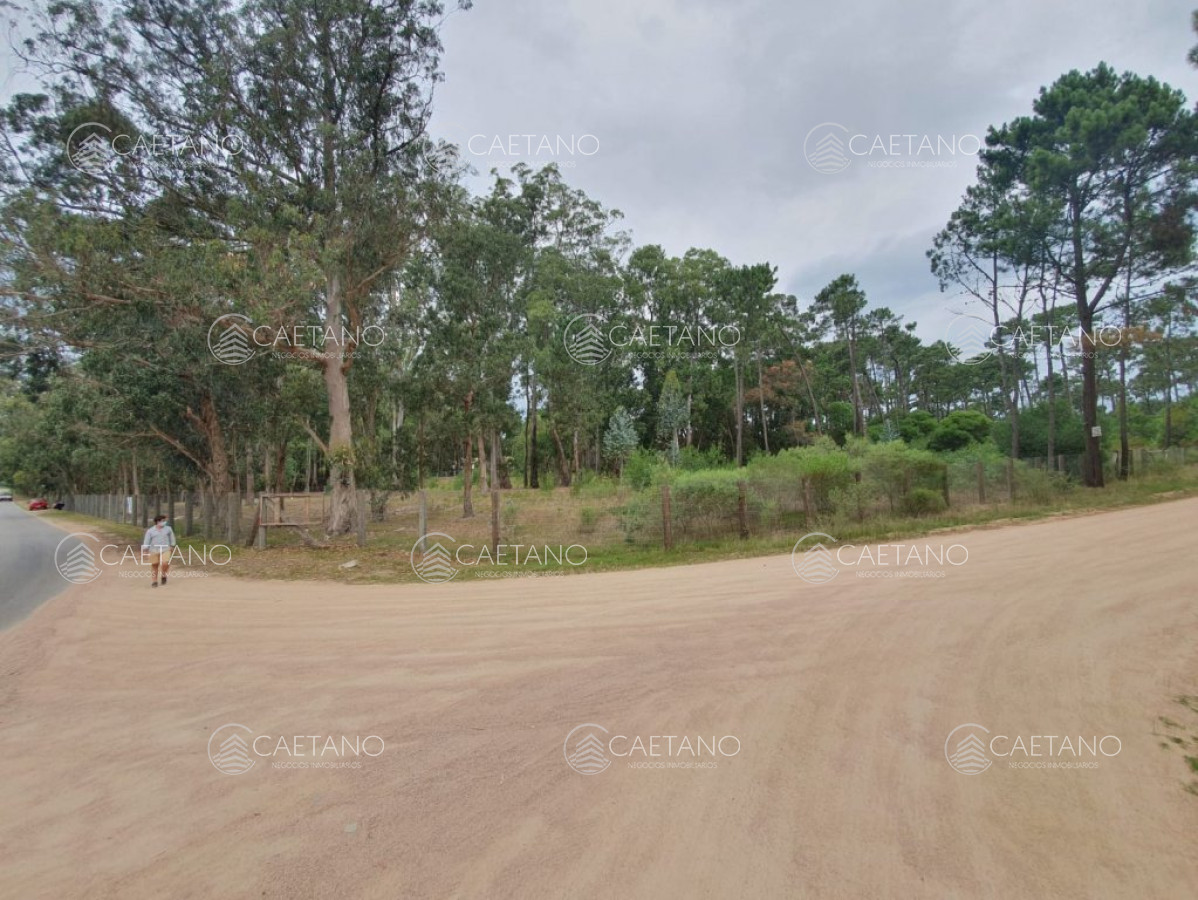 Burnett - GoPunta - Portal Inmobiliario de Punta del Este - Maldonado