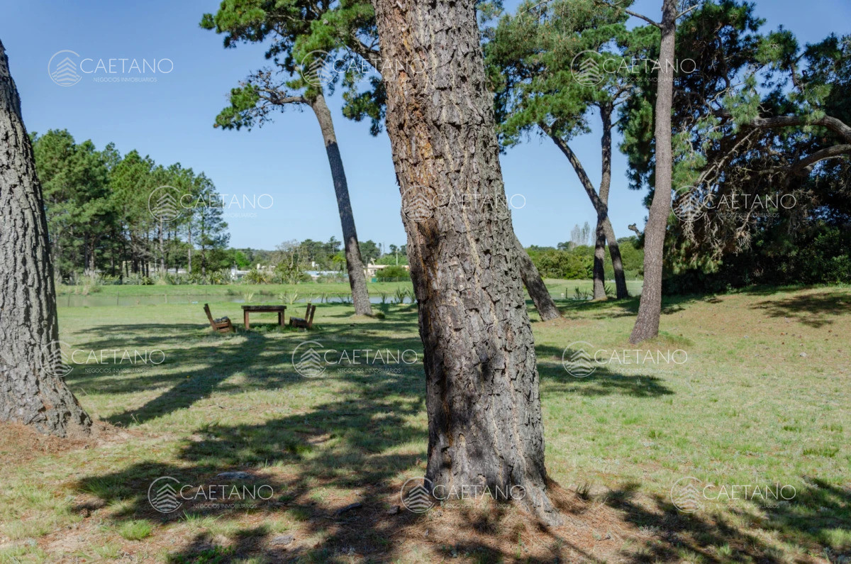 Venta lote en Veramansa, Playa Mansa  - DMC16301T