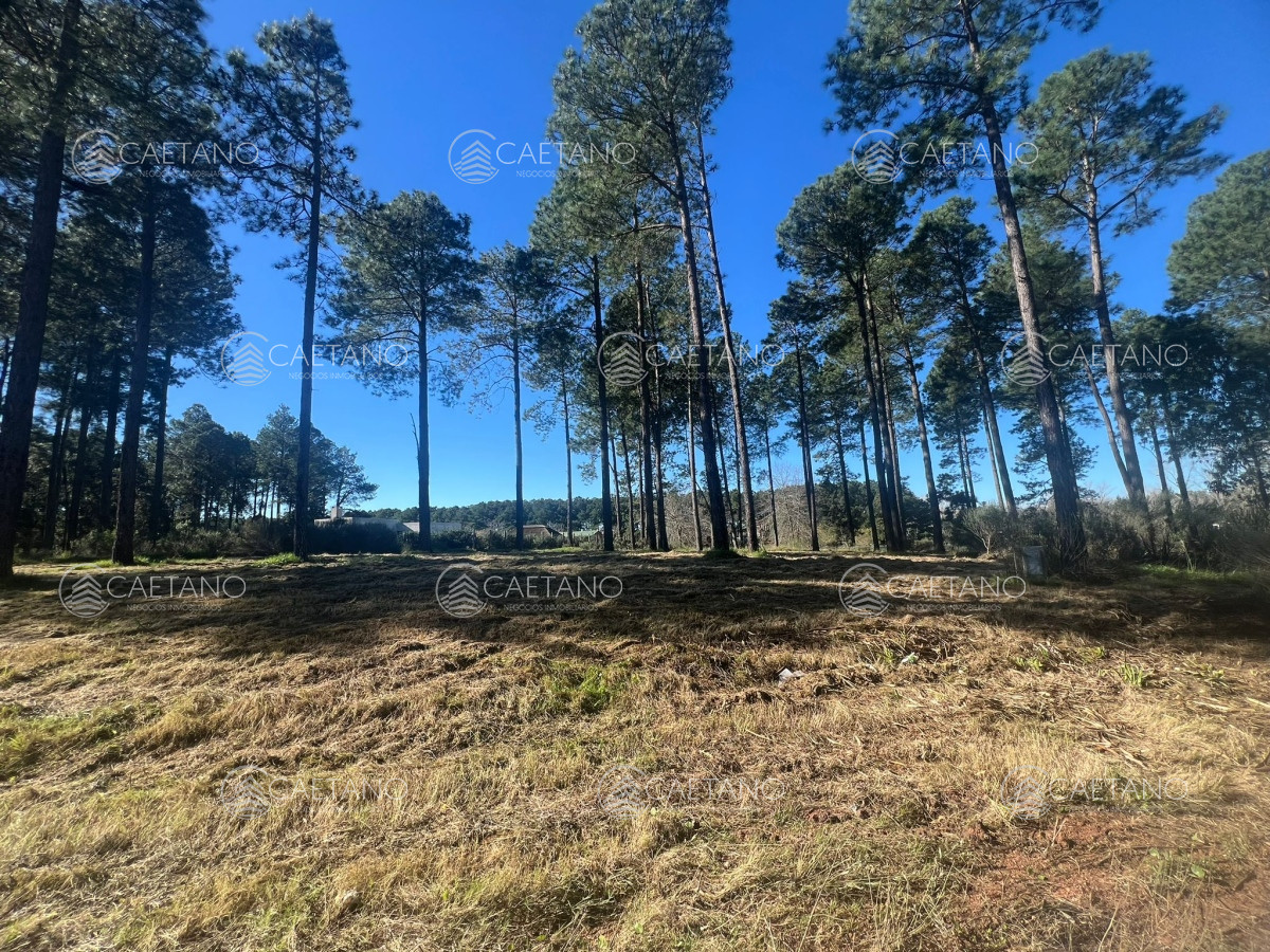 Propiedad - GoPunta - Portal Inmobiliario de Punta del Este - Maldonado