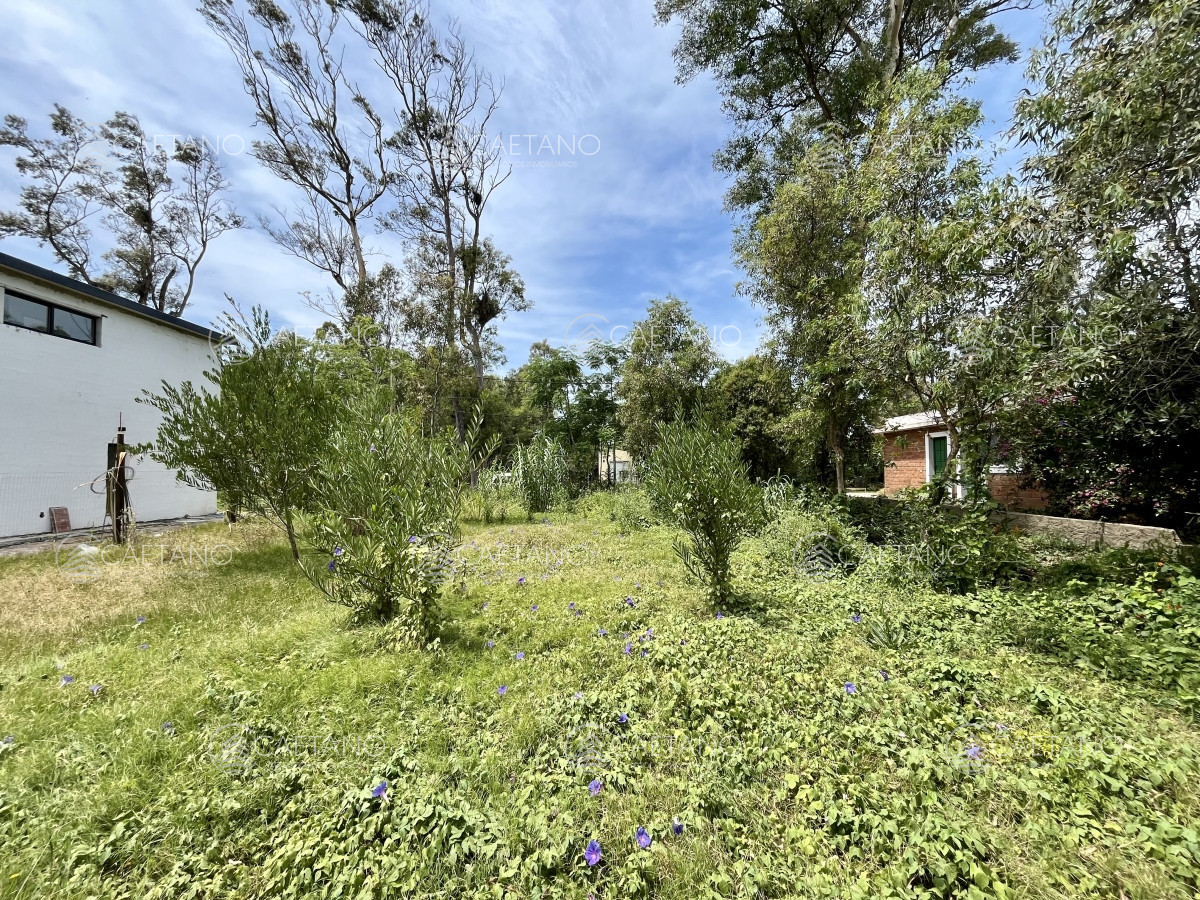 El Tesoro - GoPunta - Portal Inmobiliario de Punta del Este - Maldonado