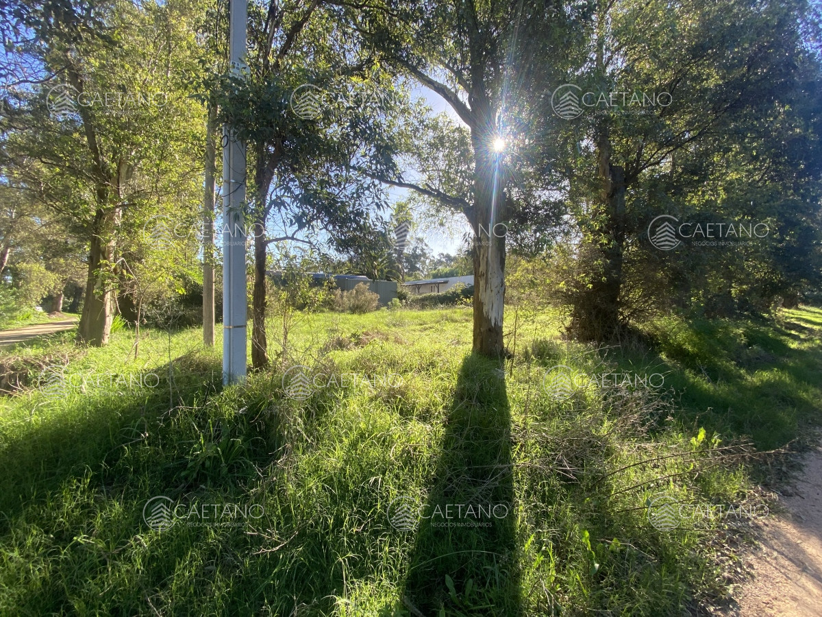 El Tesoro - GoPunta - Portal Inmobiliario de Punta del Este - Maldonado