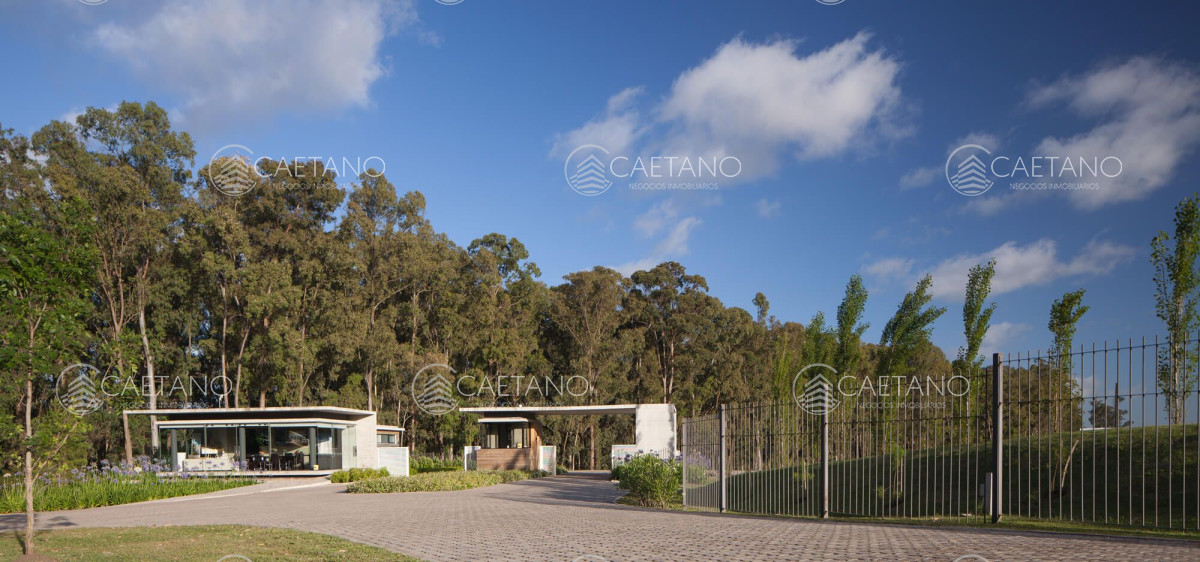 El Jaguel - GoPunta - Portal Inmobiliario de Punta del Este - Maldonado
