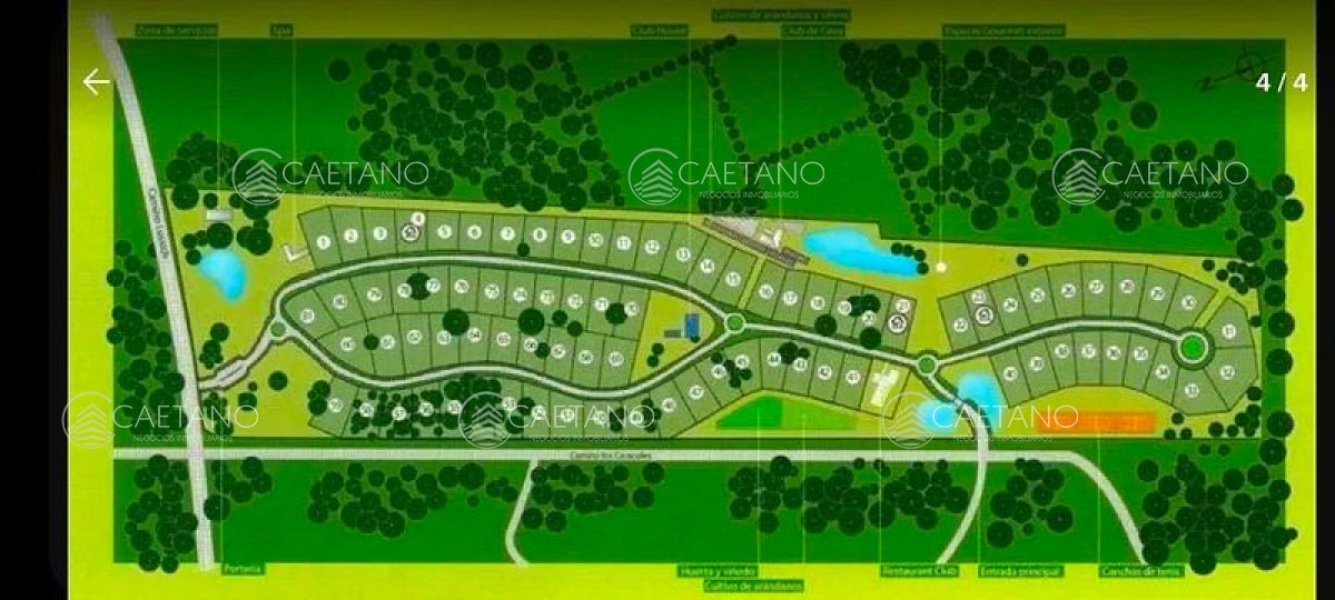 Camino Lussich - GoPunta - Portal Inmobiliario de Punta del Este - Maldonado