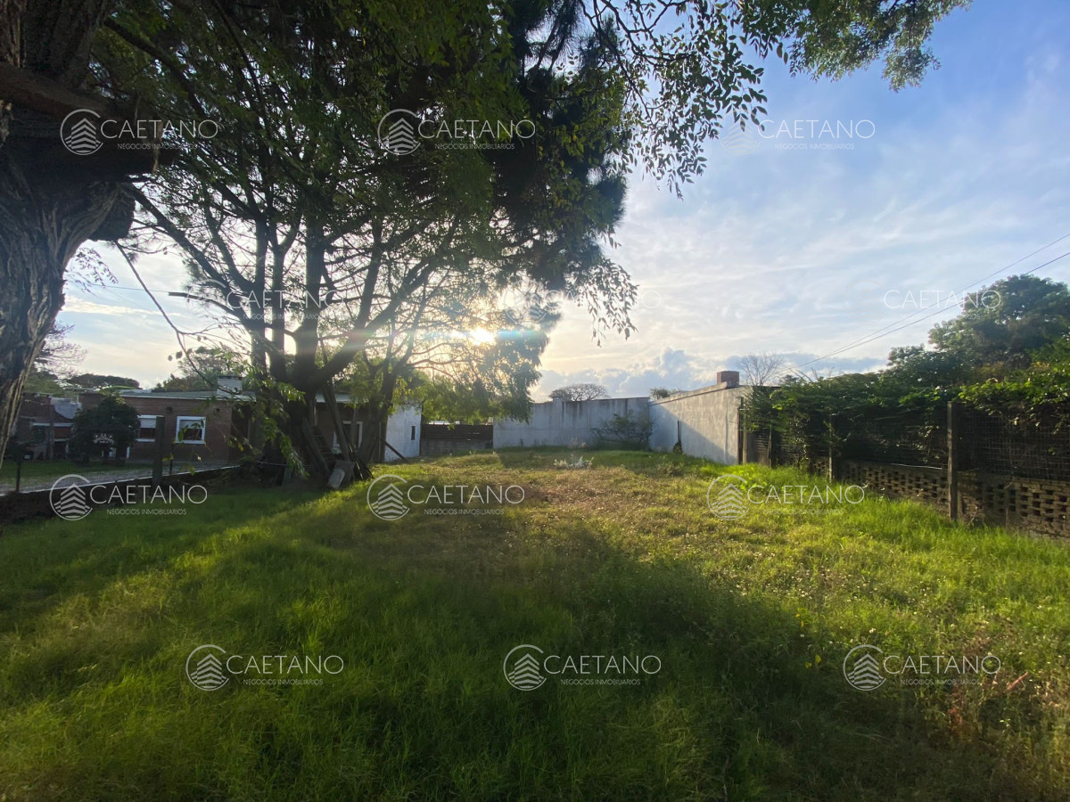California Park - GoPunta - Portal Inmobiliario de Punta del Este - Maldonado