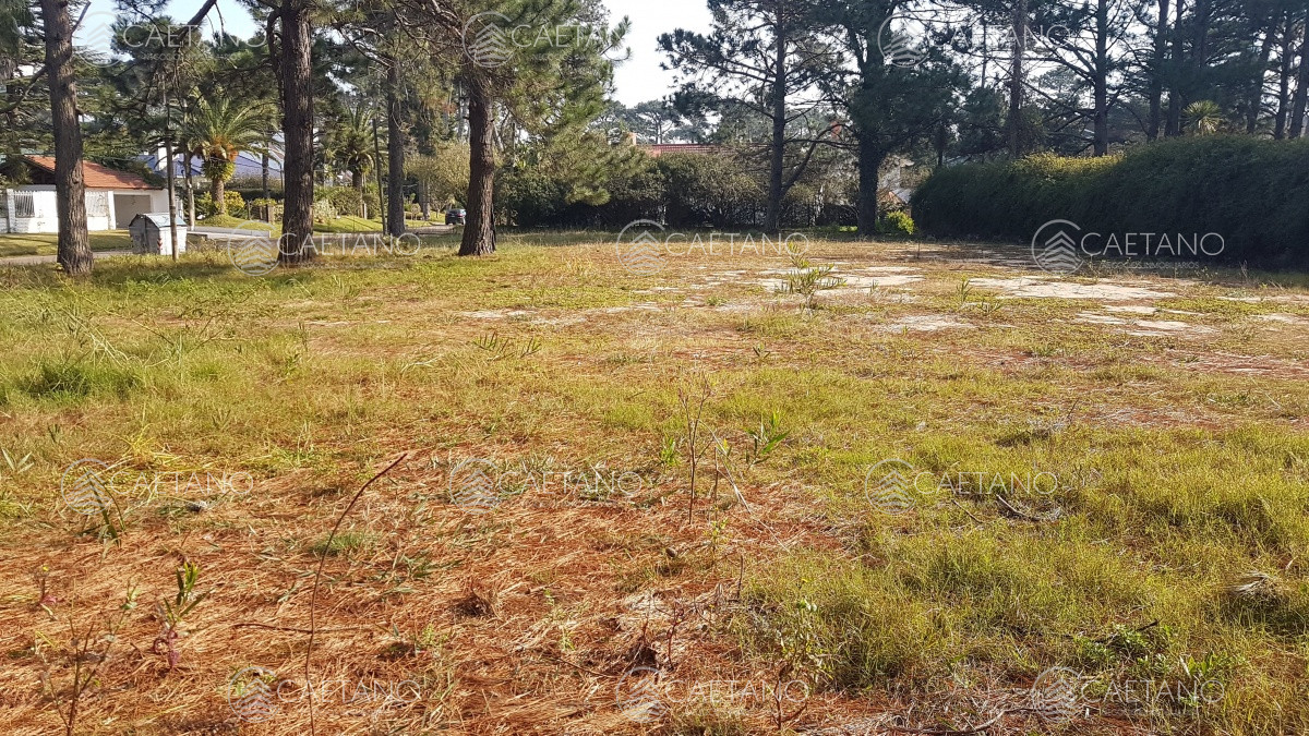 Cantegril - GoPunta - Portal Inmobiliario de Punta del Este - Maldonado