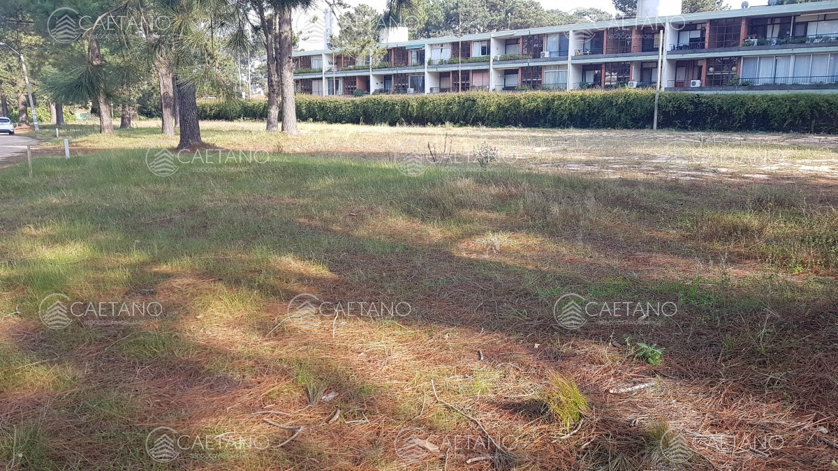 Cantegril - GoPunta - Portal Inmobiliario de Punta del Este - Maldonado