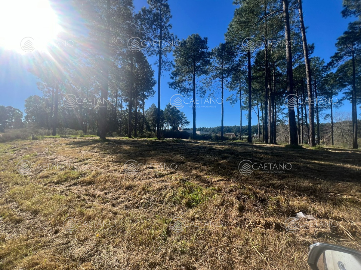 Propiedad - GoPunta - Portal Inmobiliario de Punta del Este - Maldonado