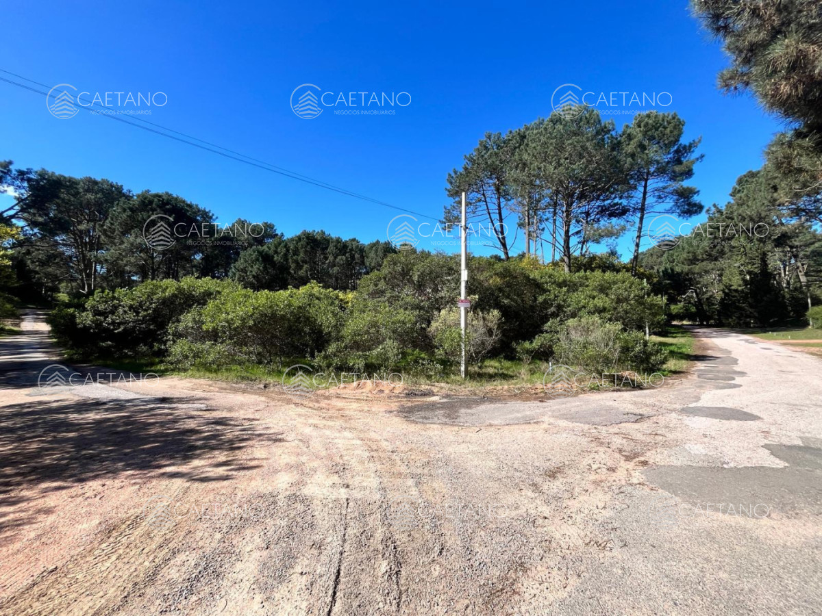 Terreno en venta en Club Del Lago, Punta Ballena - DMC17566T