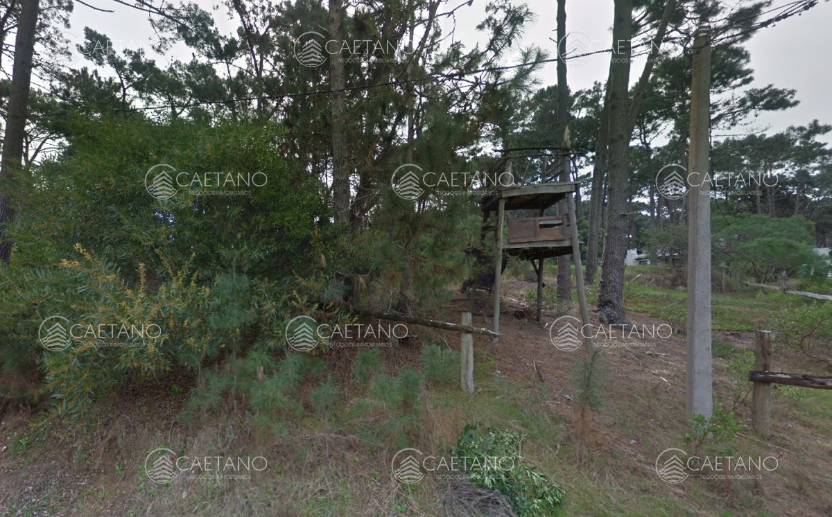 Montoya - GoPunta - Portal Inmobiliario de Punta del Este - Maldonado