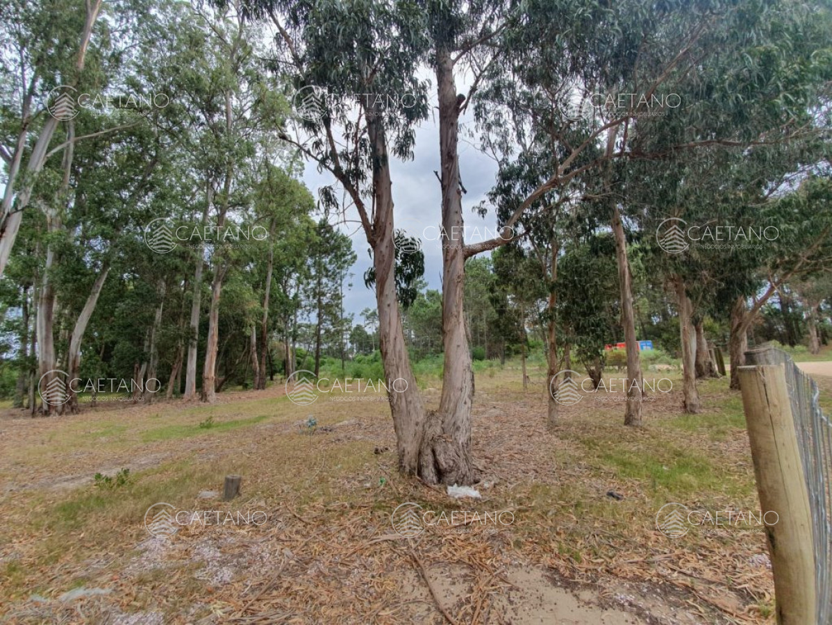 Terreno en venta!