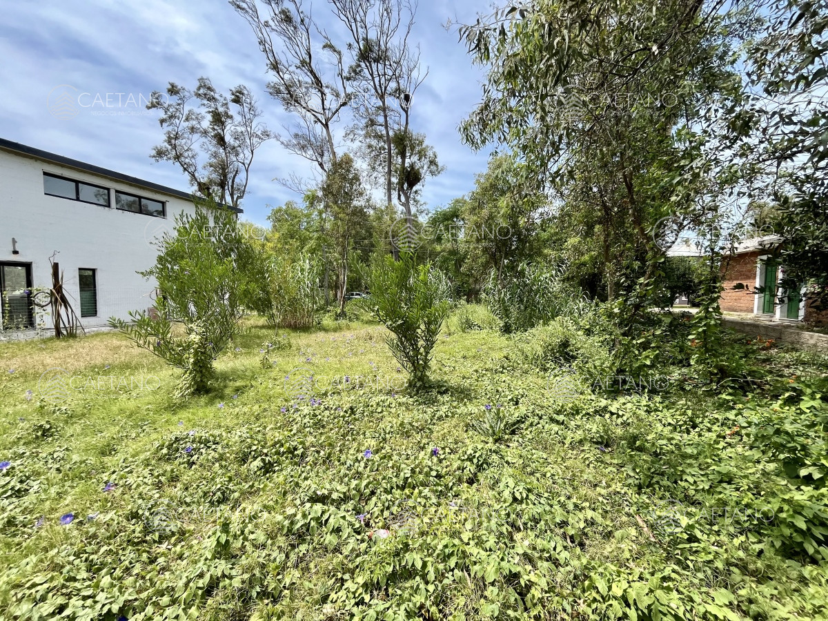 El Tesoro - GoPunta - Portal Inmobiliario de Punta del Este - Maldonado
