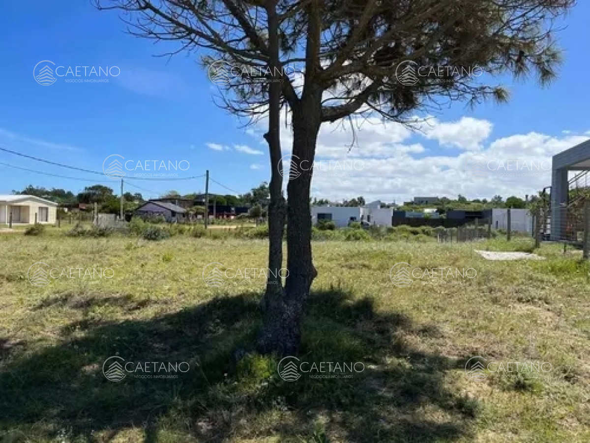 Punta Negra - GoPunta - Portal Inmobiliario de Punta del Este - Maldonado