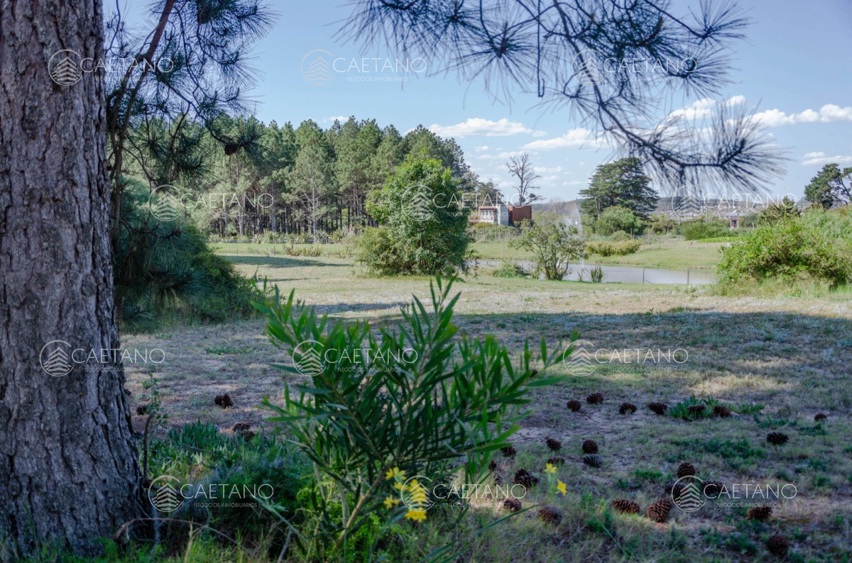 Venta de Lote 1200 m2 en Veramansa - Playa Mansa  - DMC16297T