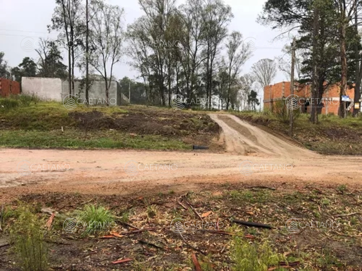 Los Aromos - GoPunta - Portal Inmobiliario de Punta del Este - Maldonado