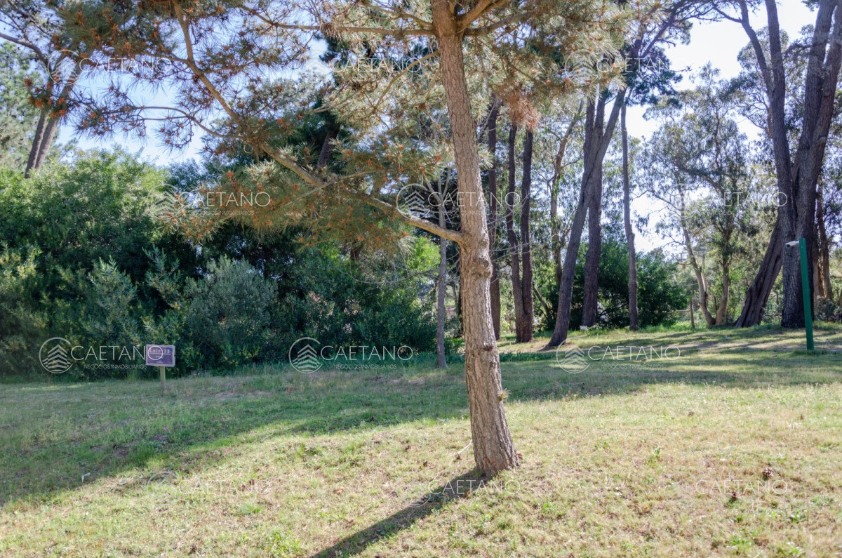 Venta lote en Veramansa, Playa Mansa  - DMC16309T