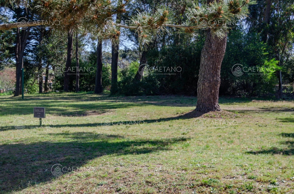 Venta lote en Veramansa, Playa Mansa  - DMC16310T