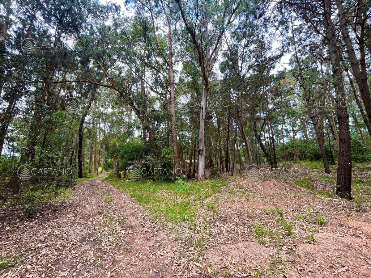 Venta terreno en Burnett, Maldonado - 1730m2
