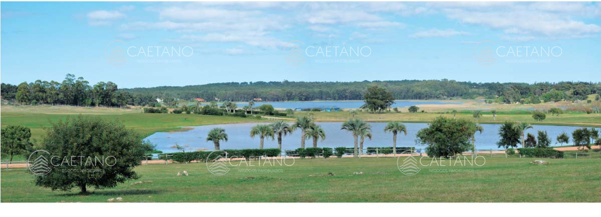 Venta terreno Laguna Estate