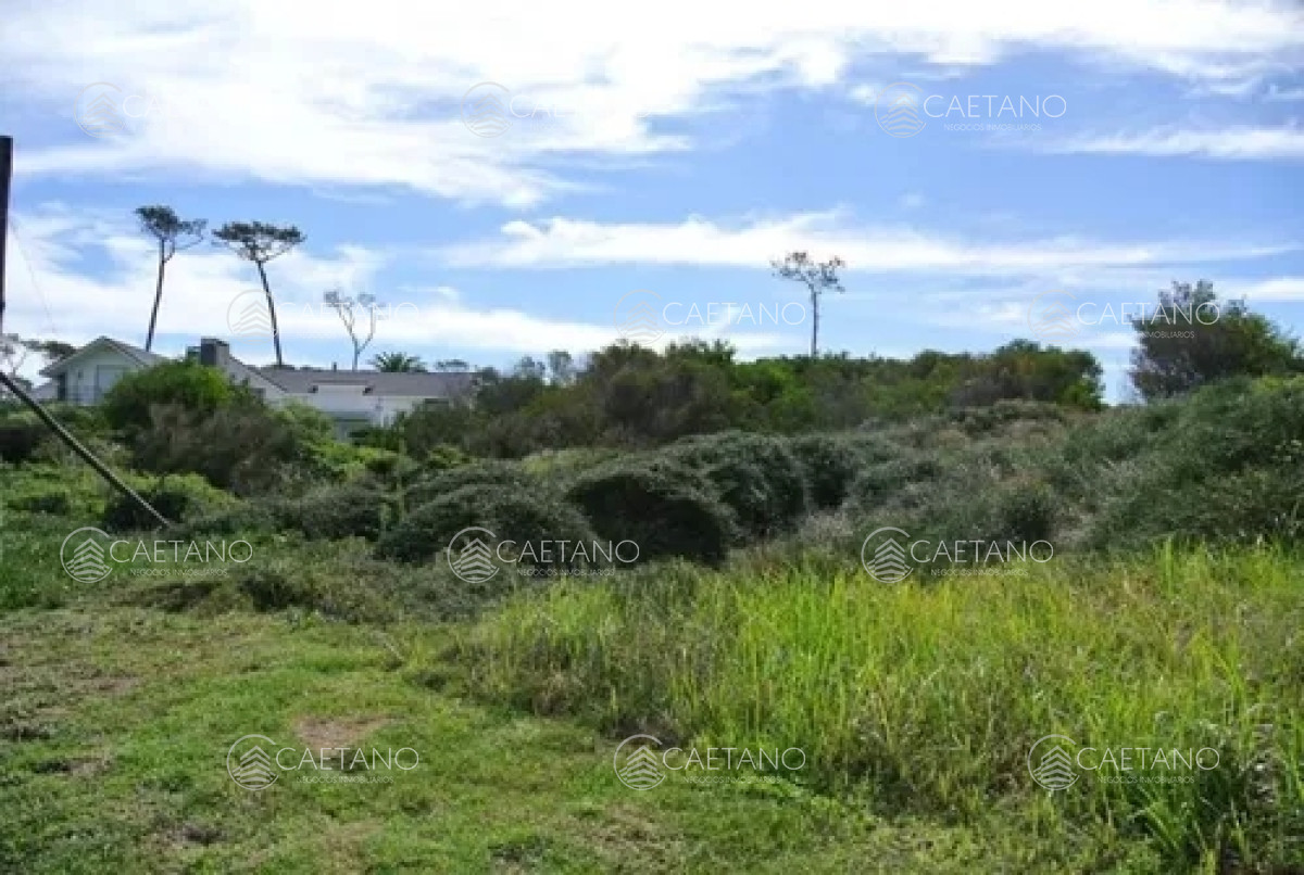 Pinares - GoPunta - Portal Inmobiliario de Punta del Este - Maldonado