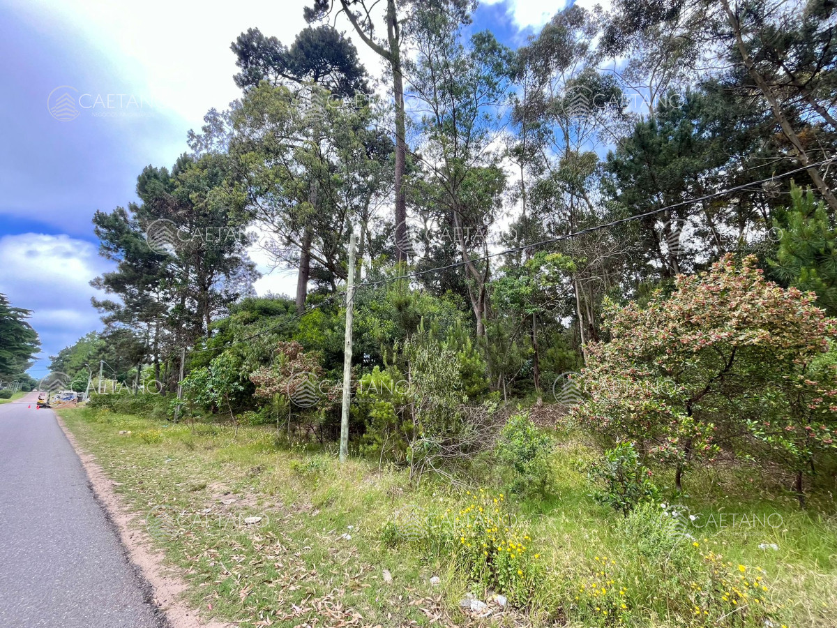 Maldonado - GoPunta - Portal Inmobiliario de Punta del Este - Maldonado