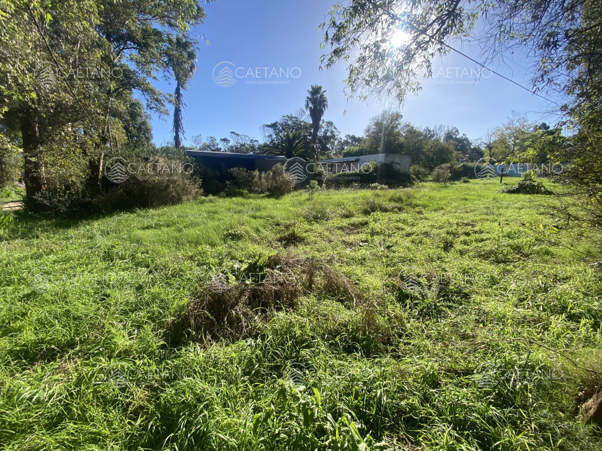 El Tesoro - GoPunta - Portal Inmobiliario de Punta del Este - Maldonado