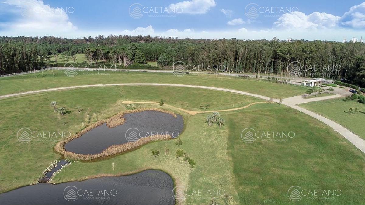 El Jaguel - GoPunta - Portal Inmobiliario de Punta del Este - Maldonado
