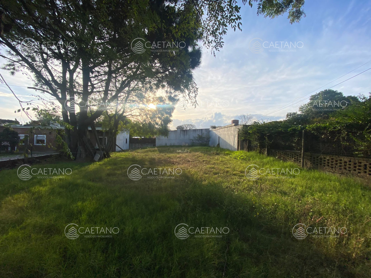 California Park - GoPunta - Portal Inmobiliario de Punta del Este - Maldonado