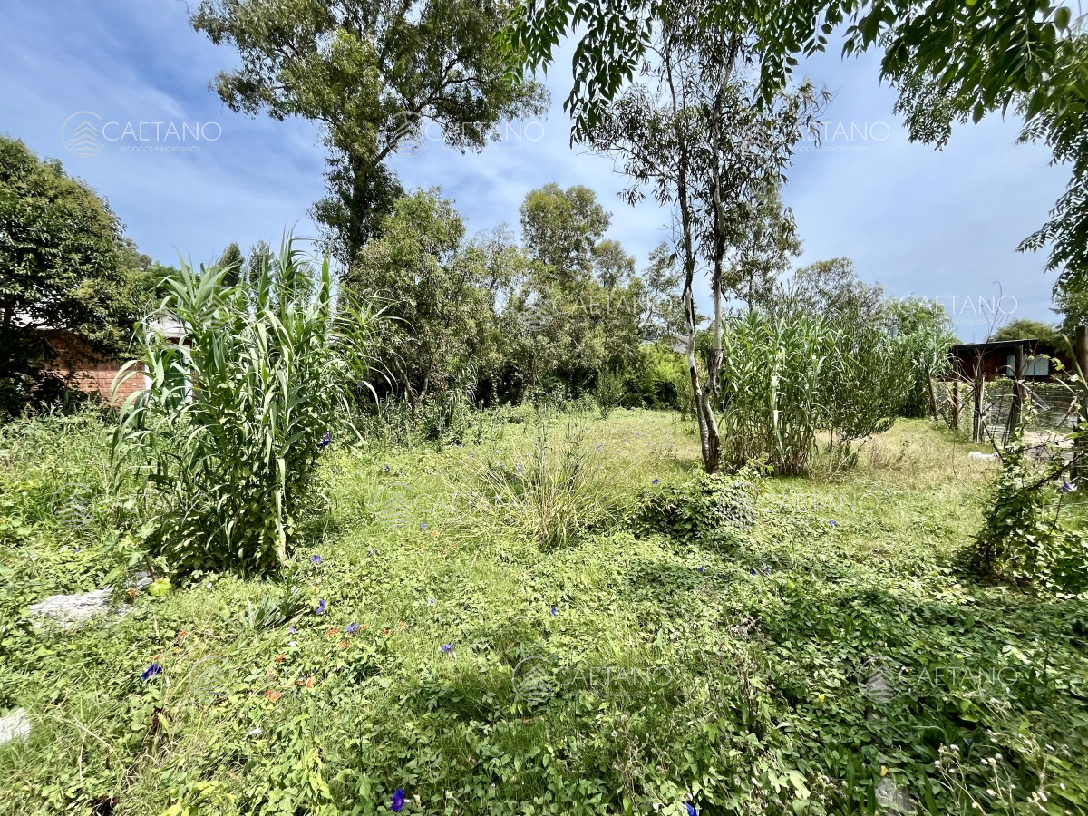 El Tesoro - GoPunta - Portal Inmobiliario de Punta del Este - Maldonado