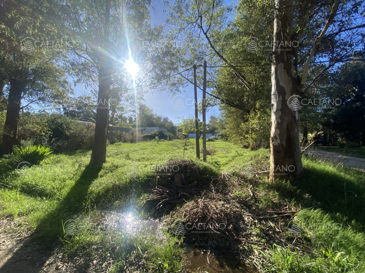 El Tesoro - GoPunta - Portal Inmobiliario de Punta del Este - Maldonado
