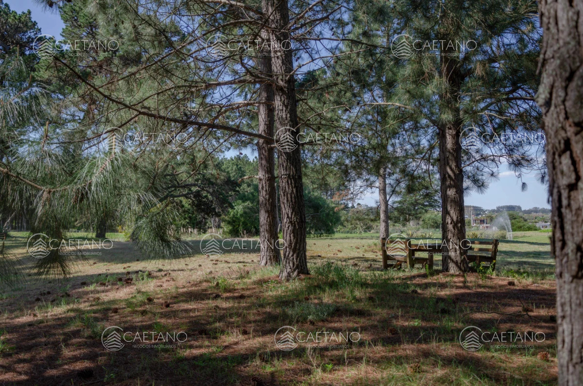 Venta lote en Veramansa, Playa Mansa  - DMC16298T
