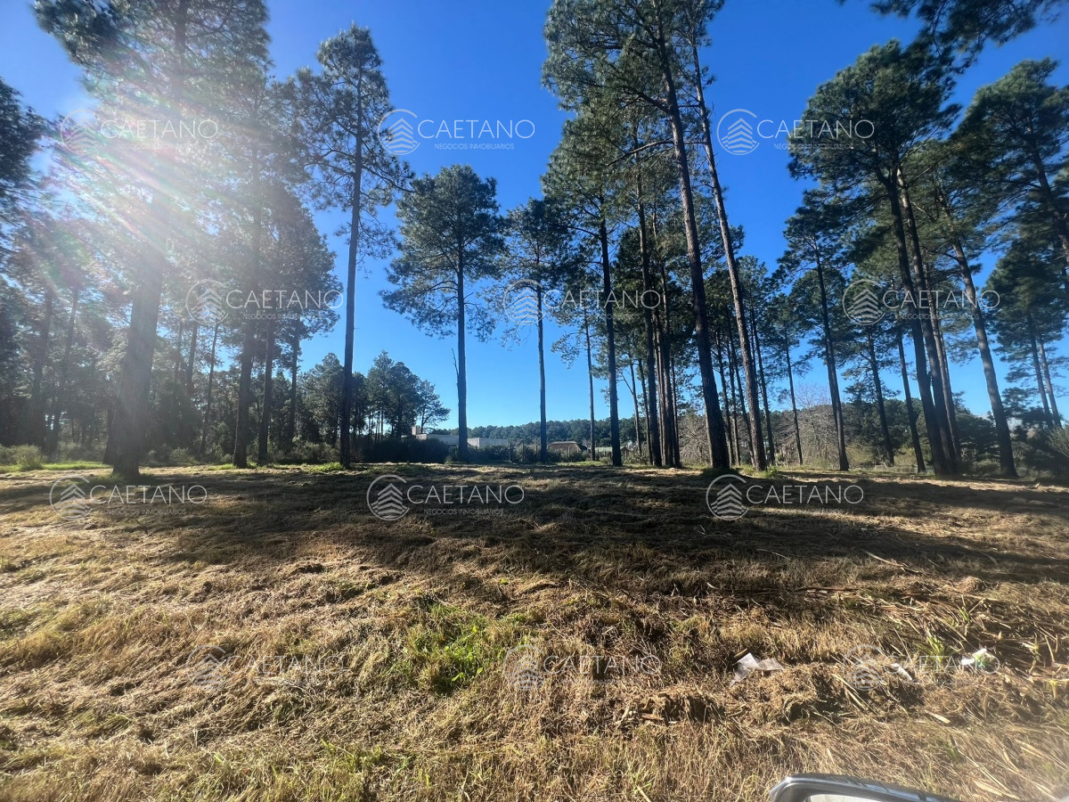 Propiedad - GoPunta - Portal Inmobiliario de Punta del Este - Maldonado