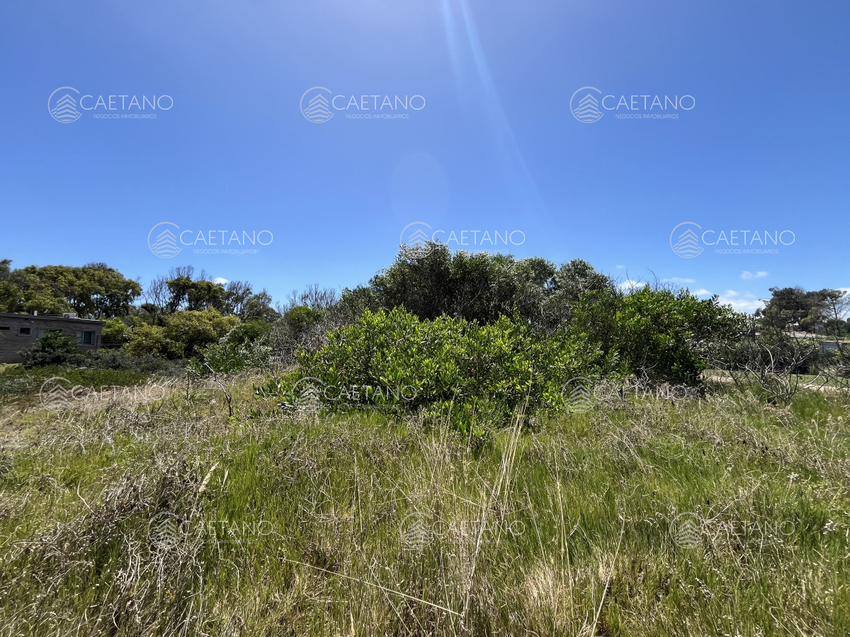 Balneario Buenos Aires - GoPunta - Portal Inmobiliario de Punta del Este - Maldonado