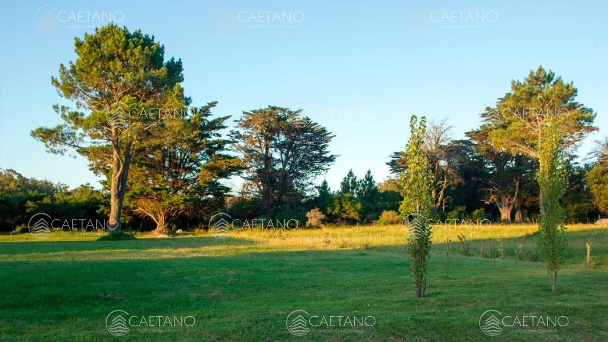 Los Tordillos - GoPunta - Portal Inmobiliario de Punta del Este - Maldonado
