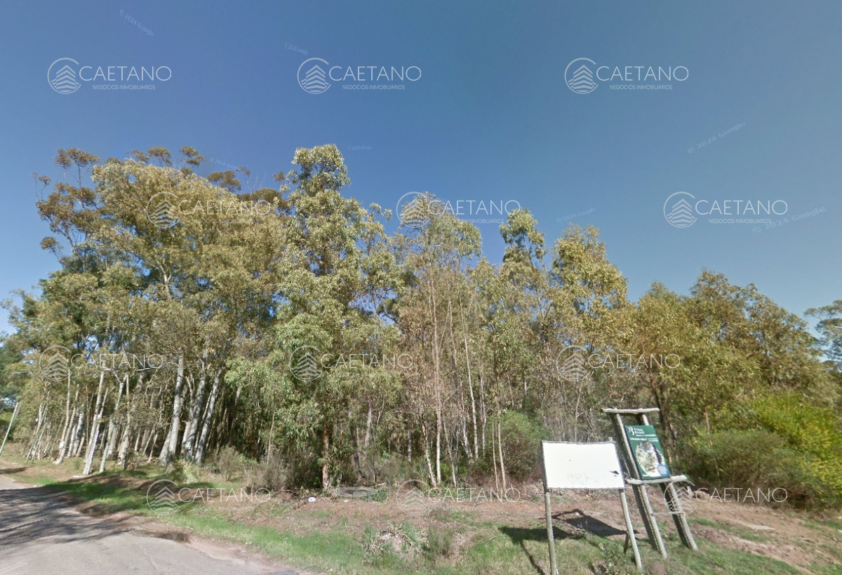 Burnett - GoPunta - Portal Inmobiliario de Punta del Este - Maldonado