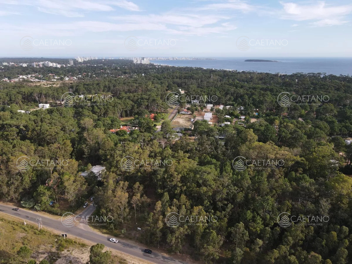 Burnett - GoPunta - Portal Inmobiliario de Punta del Este - Maldonado
