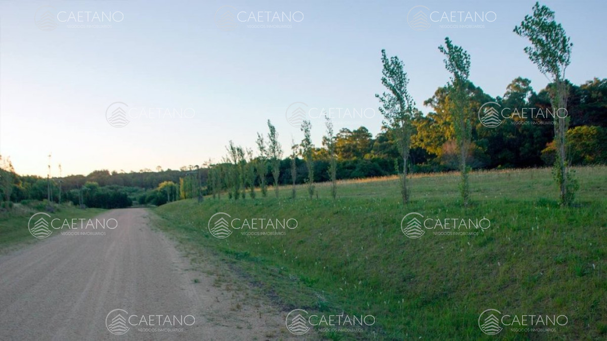 Los Tordillos - GoPunta - Portal Inmobiliario de Punta del Este - Maldonado